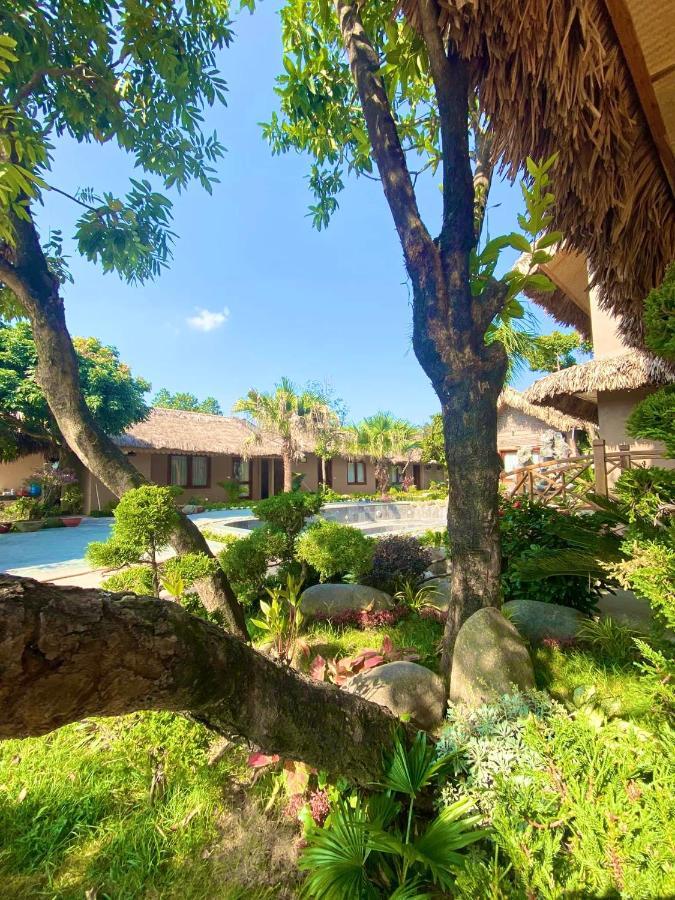 Lemon Tree Homestay Tam Coc نينه بينه المظهر الخارجي الصورة