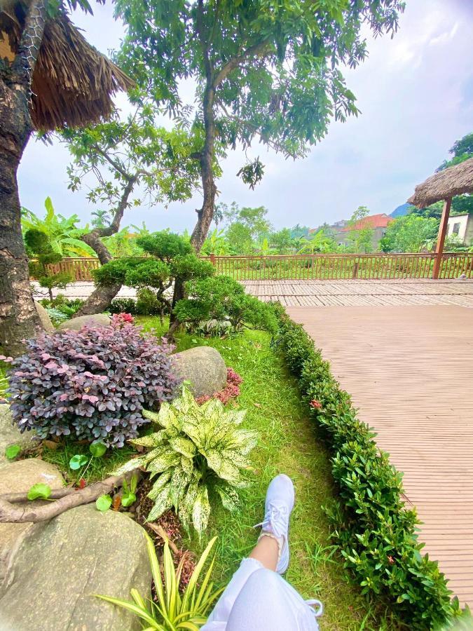 Lemon Tree Homestay Tam Coc نينه بينه المظهر الخارجي الصورة