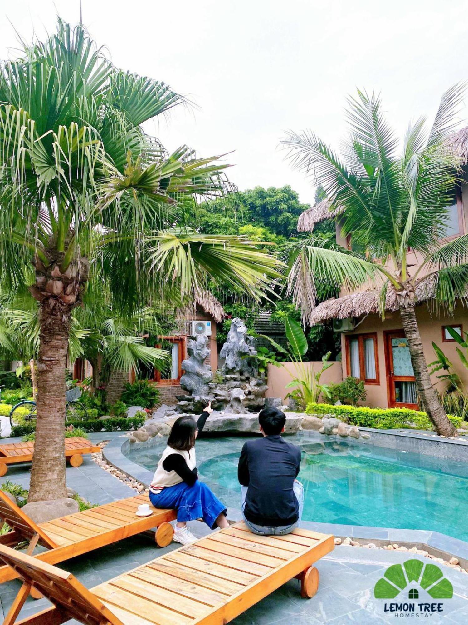 Lemon Tree Homestay Tam Coc نينه بينه المظهر الخارجي الصورة