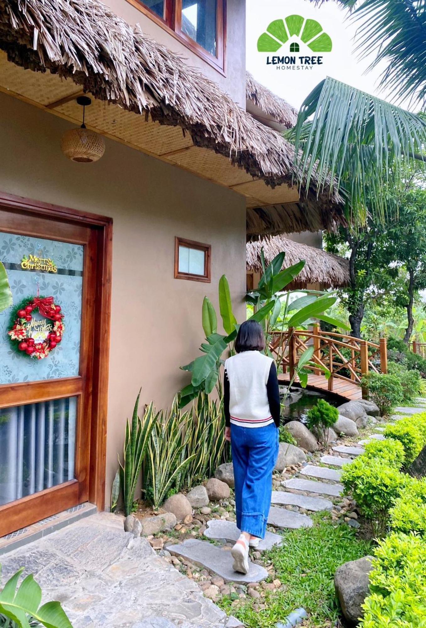Lemon Tree Homestay Tam Coc نينه بينه المظهر الخارجي الصورة
