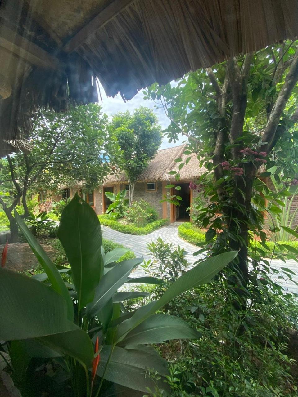 Lemon Tree Homestay Tam Coc نينه بينه المظهر الخارجي الصورة