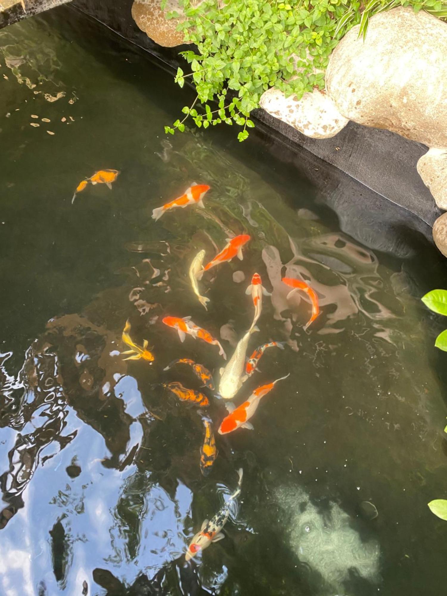Lemon Tree Homestay Tam Coc نينه بينه المظهر الخارجي الصورة